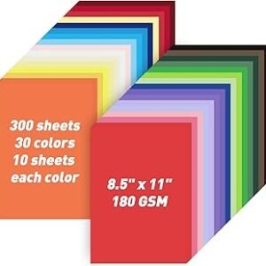 8.5" X 11" Colored Cardstock Bulk 300 Sheets 30 Assorted Colors Construction Paper Card Stock Printer Paper for DIY Crafts, Kids School Supplies, Cricut, 180 GSM