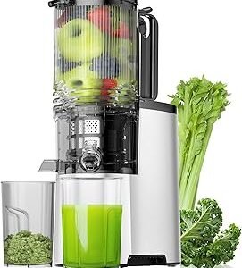 Cold Press Juicer, 5.8" Wide Feed Chute Juice Extractor Machine with 400W, High Juice Yield, Slow Masticating Juicer for Whole Vegetables & Fruits, Metallic Silver