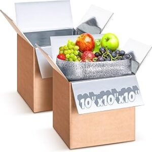 2 Pack Insulated Shipping Box with Aluminum Foil Liner, 10" x 10" x 10" Thermal Insulation Cold Pack Reusable Shipping Cooler Boxes for Frozen Food Meat Fish Mailing Packaging