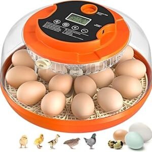 18 Egg Incubator with Automatic Egg Turning and Humidity Control, Incubators for Hatching Eggs, Chicken, Ducks, Goose, Pigeon, Quail, Parrot Incubator for Farm, Lab, Science Classroom, Home (Orange)
