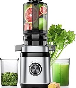Juicer Machines, Cold Press Juicer with 4.41" Wide Feed Chute, 350W Slow Masticating Juicers for Whole Vegetables & Fruits, High Juice Yield, Easy to Clean, Large Auger, Silver