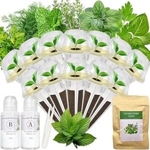 Gourmet Herb Seed Pod Kit for AeroGarden, idoo, Ahopegarden, MUFGA Hydroponics Garden with Basil, Parsley, Thyme, Mint, Cilantro, Dill, Oregano - Compatible with All Hydroponics (12-Pod)