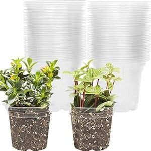 winemana 4 Inch Seed Starter Tray for Vegetable Herb Lettuce Seeds, Plant Pots for Potting Soil Indoor Plants, Clear Nursery Pots Plastic Planting Pots Garden Flower Pots- 60 Packs
