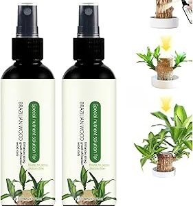 Brazilian Wood Plant,Brazilian Wood Indoor Plant Fertilizer， Lucky Bamboo Liquid Fertilizer,Plant Special Nutrient Solution
