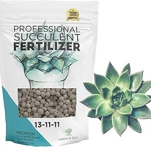 Leaves and Soul Succulent Fertilizer Pellets |13-11-11 Slow Release Pellets for All Cactus and Succulents | Multi-Purpose Blend & Gardening Supplies, No Fillers | 5.2 oz Resealable Packaging